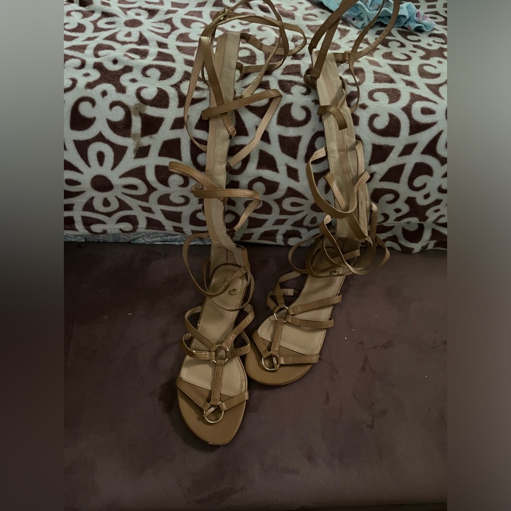 colin stuart gladiator sandals. Never worn